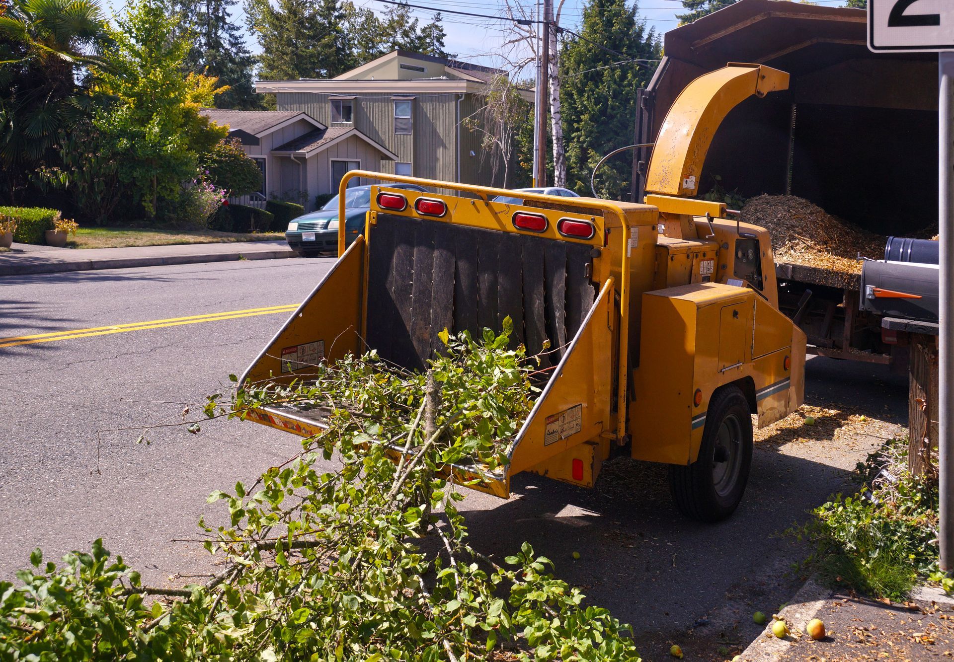 Tree Clearing